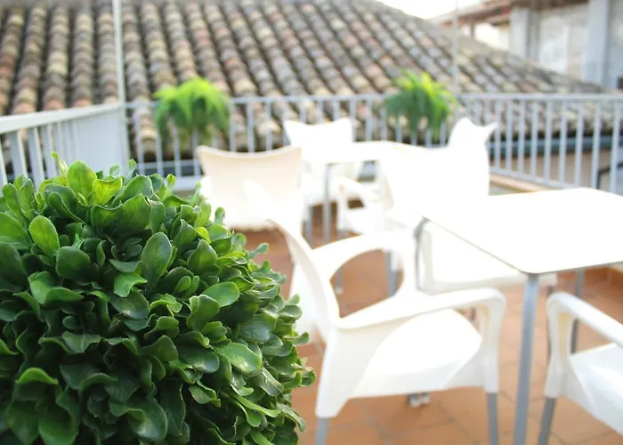 Apartamentos Laurel Suites